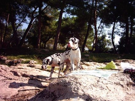 von der Fahner Höhe