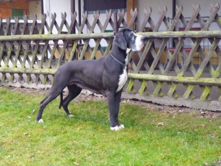 von der Fahner Höhe