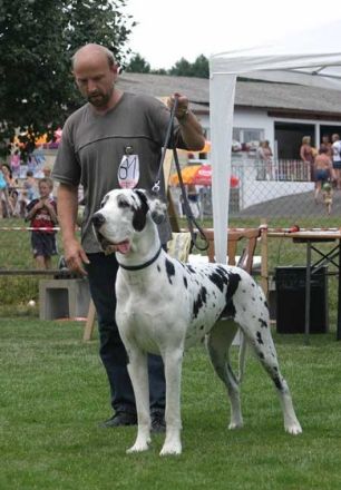 von der Fahner Höhe