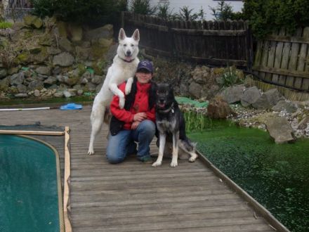 Hundeschule "Wild Bandits"