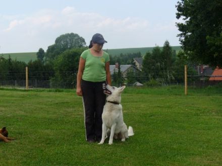 Hundeschule "Wild Bandits"