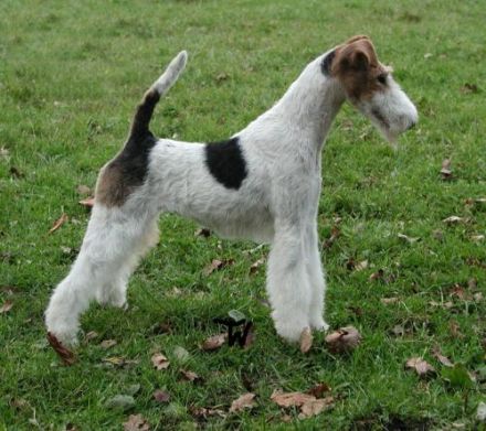 von der Bismarckquelle