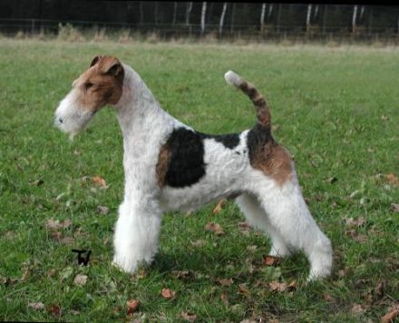 von der Bismarckquelle