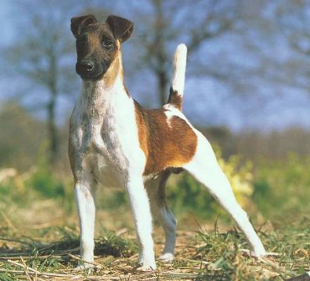 von der Bismarckquelle