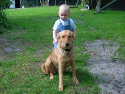 Familien-und hundefreundlicher Ferienhof