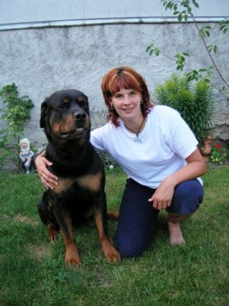 Leinelos Hundetraining