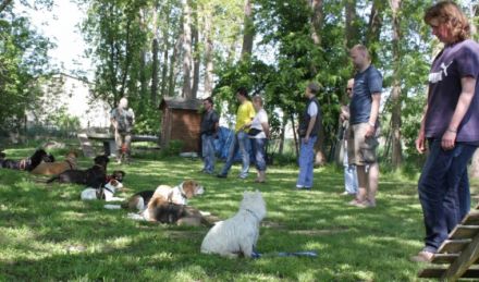 semperfidelioDOGs- Hundeschule für alle F(ä)elle