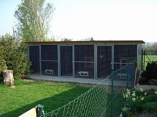 Hundeschule & -pension Matthias Topf