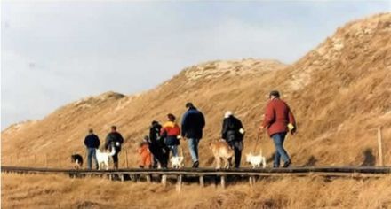 Hundeschule Godenhof