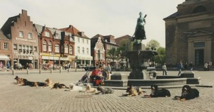 Hundeschule Godenhof