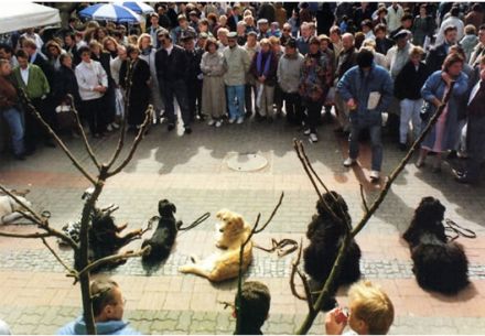 Hundeschule Godenhof