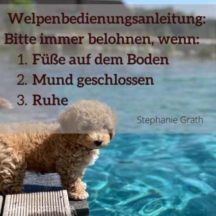 Tierarztpraxis Grath Verhaltenstherapie& Training