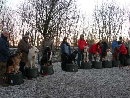 Alles hundherum - Mein Partner Hund