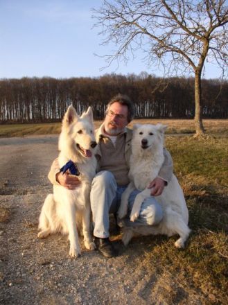 hundeschule haberland