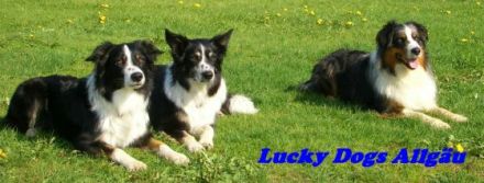 Lucky Dogs Allgäu