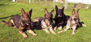 von der Hettlingshöhe