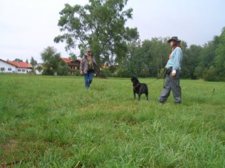 GEMEINSAM UNTERWEGS animal learn Netzwerk