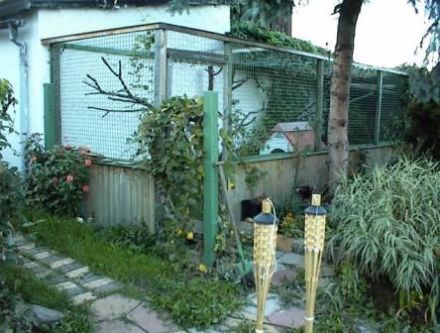 Tierpension "Cherry"