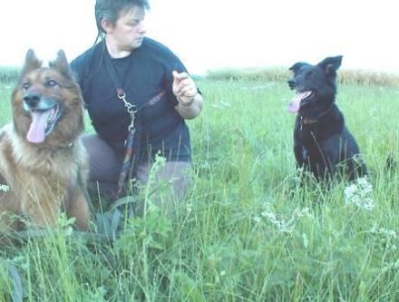 Tierpension "Cherry"