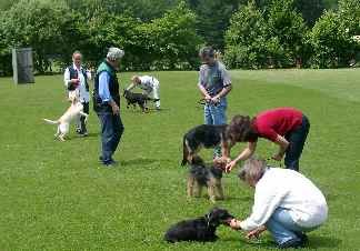Hundessportverein Diessen am Ammersee / Hundetrainer