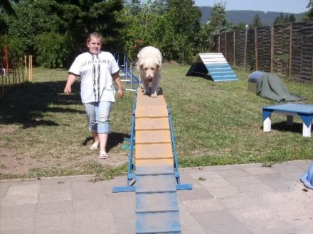 Krufter Hundefreunde