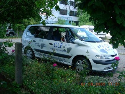 CLF mobile Hundeschule im Rhein Neckarkreis