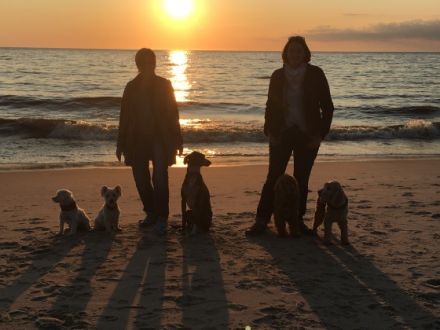 CLF mobile Hundeschule im Rhein Neckarkreis