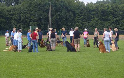 Hundepension-Schule Asmann
