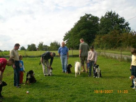 Hundeschule und Hundepension Matthias Topf