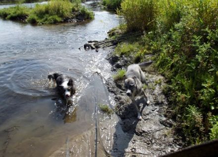 Have a Nice Day in NRW