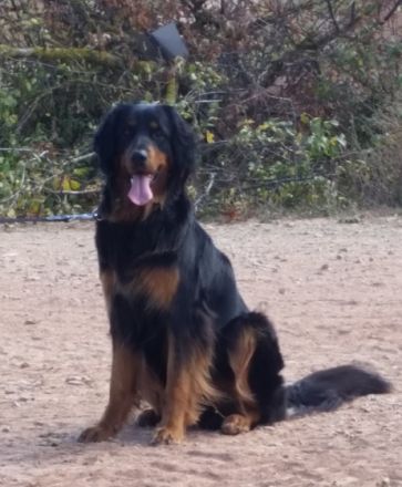 von den Wupperwiesen