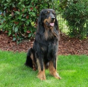 von den Wupperwiesen