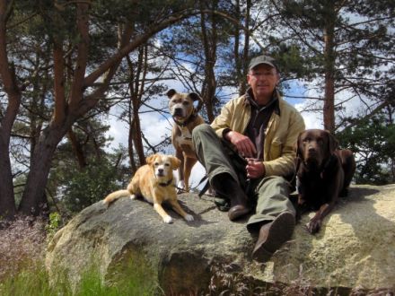 Hundeschule-am-Wulmsberg.de