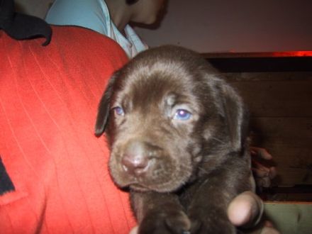 vom Haus Seidenweber