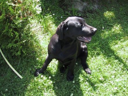 vom Haus Seidenweber