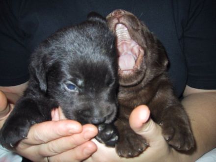 vom Haus Seidenweber