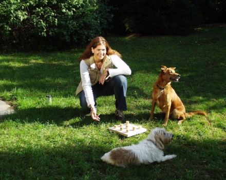 Hundekompetenz Prinz