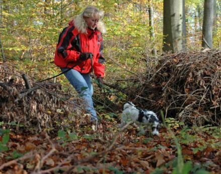 Hundeerziehungsberatung "Partner-Hund"