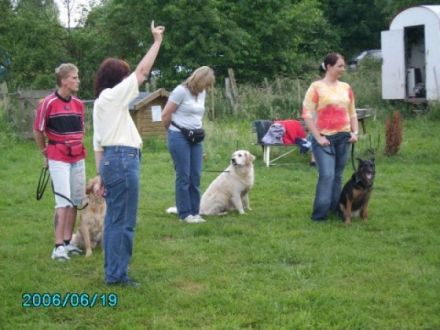 Hundeschule/Verhaltensberatung Susi & Strolch