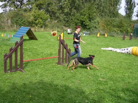 Monas mobile Hundeschule