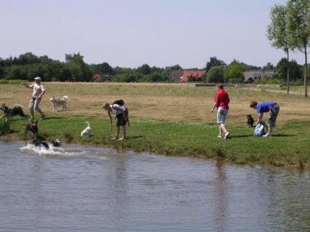 Monas mobile Hundeschule