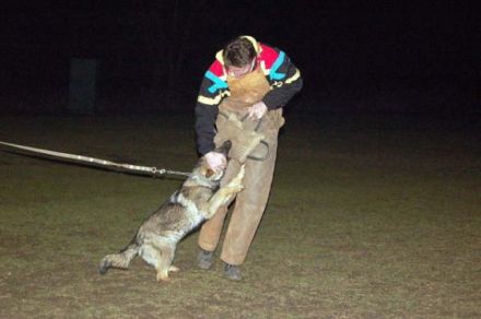 vom Sportzentrum Erzental