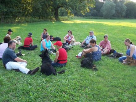 Hundeschule - Hundeland - Hundetrainingszentrum