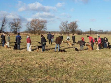 Hundeschule - Hundeland - Hundetrainingszentrum