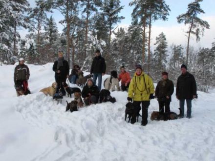Mobile Hundeschule "Gefährten"