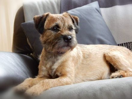 from the sunny Highlands