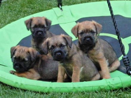 from the sunny Highlands