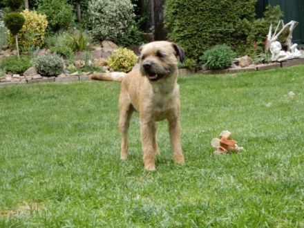 from the sunny Highlands