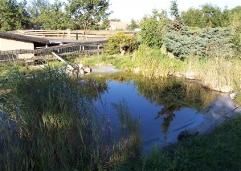 Tierpension Elchingen