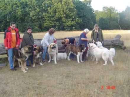 Herdenschutzhund-Service